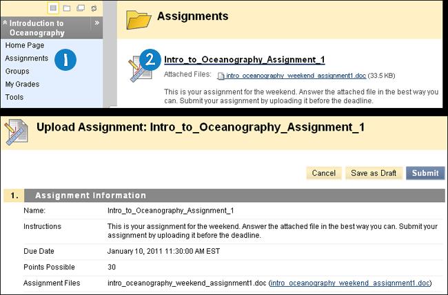 3. On the Upload Assignment page, review the instructions and download any files provided by your instructor and complete the assignment using one or both of the following: In the Submission box,