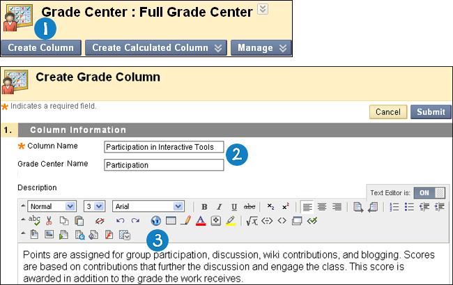4. Make a selection in the Primary Display drop-down list. The selection is the grade format shown in the Grade Center and to students on their My Grades pages.