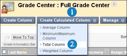 3. On the Create Total Column page, type a brief, descriptive Column Name. This name becomes the column name in the Grade Center and on students My Grades pages.