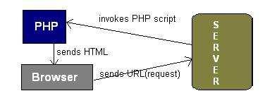 Tools And Tachnology Front - end tool : 1 PHP : What is PHP? PHP stands for "PHP: HyperText Preprocessor". PHP is a server side scripting language for making logic driven websites.