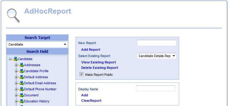 To make the report accessible to all database users, place a check mark beside Make Report Public.