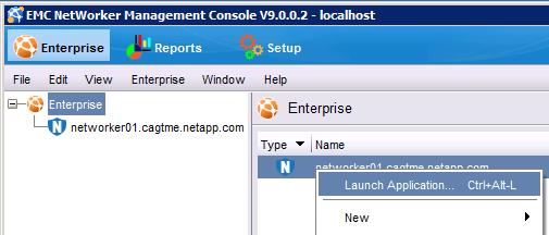 work with, then right-click on NetWorker from the Managed Applications column on the right pane. Select Launch Application. 2.