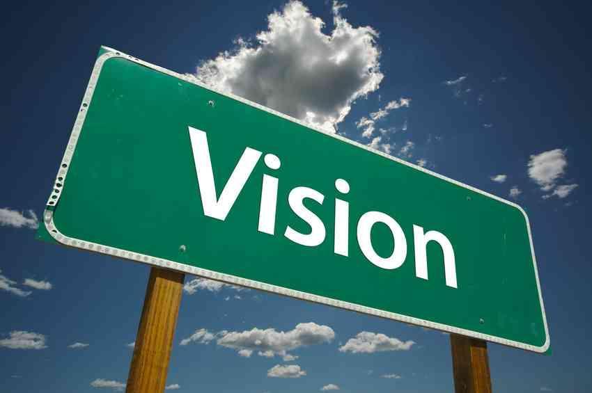 Early 2012: Develop Vision Developed Business Intelligence Vision powered by SAP HANA Identified a business executive with a
