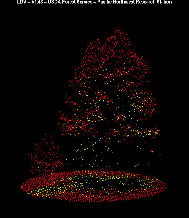 point cloud view of the tree in the photo on the right.