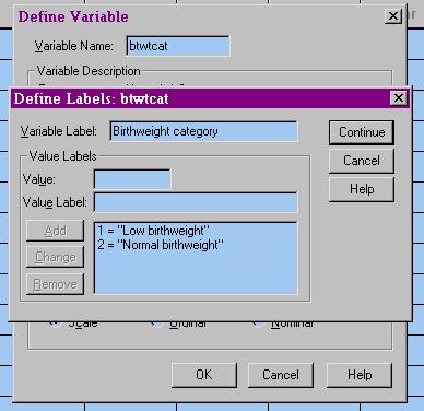 Define Labels for New Variable In the Data menu, click Define