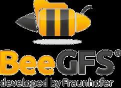 BeeGFS and Caching