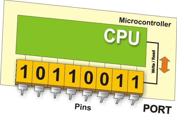 Input/Output Pins: - In order to make the MC useful, it has to be connected to additional peripherals. - Each MC has one or more registers (called ports) connected to the MC pins.
