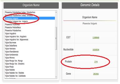 About> Genomic After clicking on organism name, we can see the number of genomic