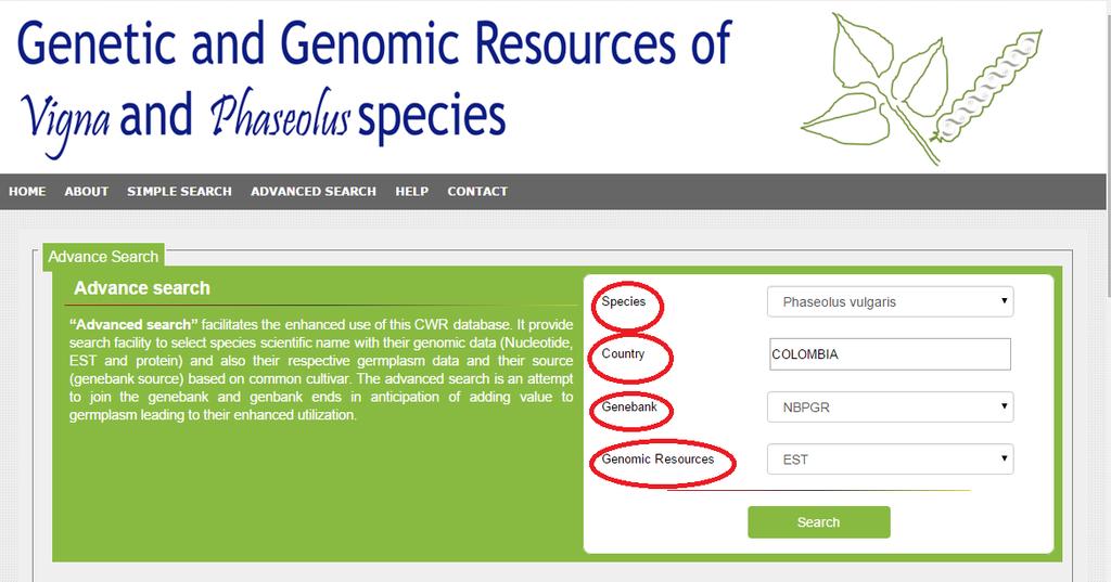Advanced Search> Forth criteria are based on species, country, genebank, and Genomic