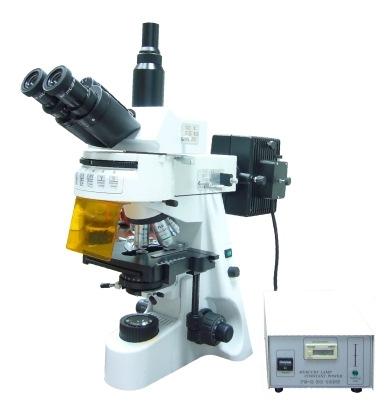Fluoroscope box Option PF-305Y Advanced Fluorescence Microscope Compensation Free Trinocular Head. Inclined at 30, 100% image light for photography.