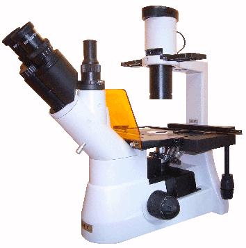 Nosepiece PF-438I Inverted Fluorescence Microscope Trinocular (Inclination of 45, Interpupillary distance: 55~75 mm, 100% image light for photography capable) WF10X (22mm) Quadruple nosepiece inner
