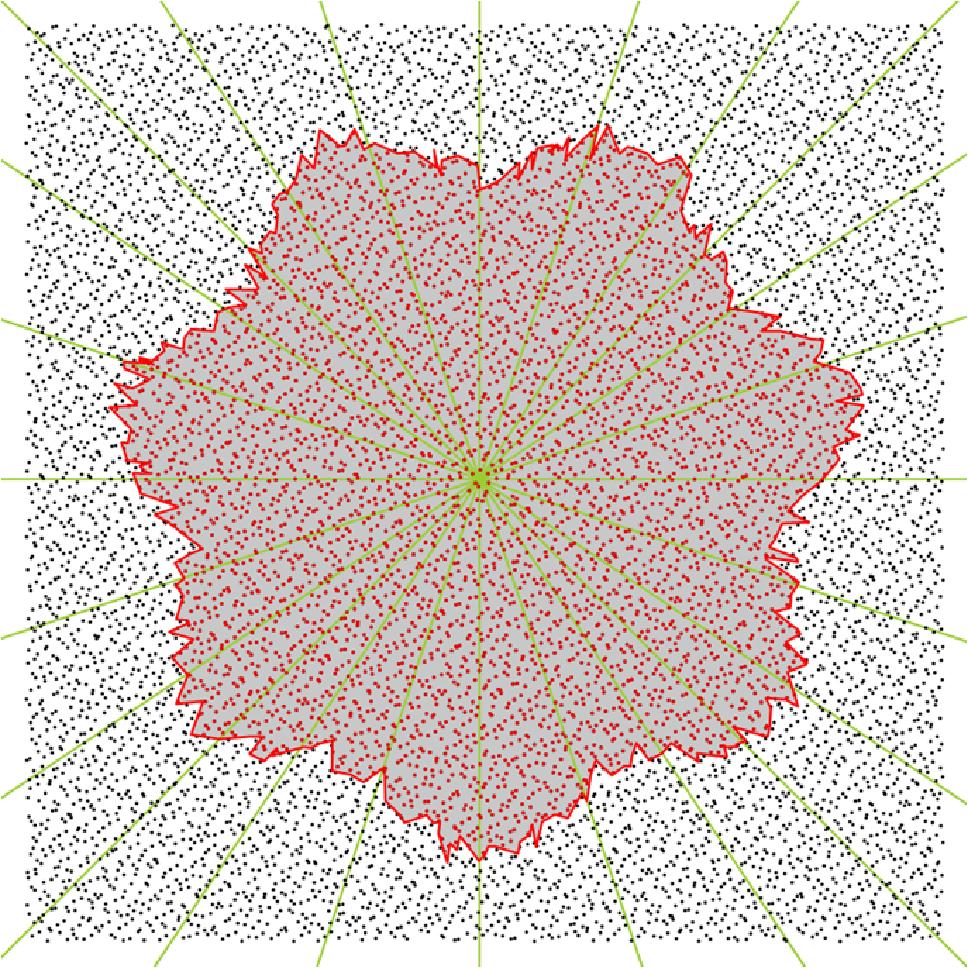 First type were randomly generated polygons (see Fig.