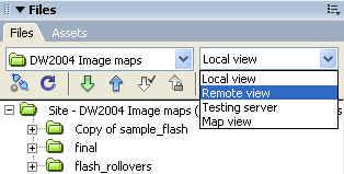 step 2. After your site is defined select the Remote View option from the view pull-down menu in the Site panel (shown below). step 3. Click the link define a remote site in the Site panel. step 4.