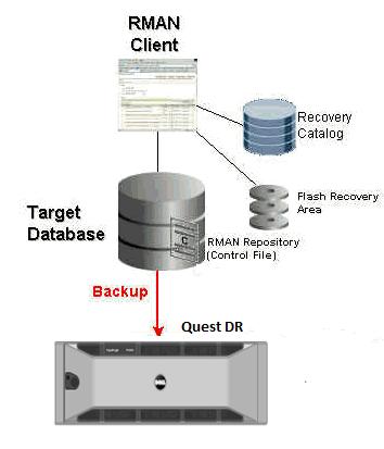 Executive Summary This document provides information about how to set up the DR Series system as a backup target for Oracle Recovery Manager (RMAN).