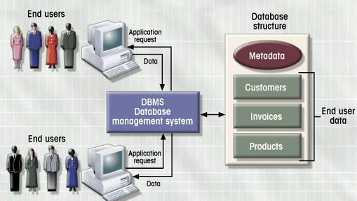 DBMS manages