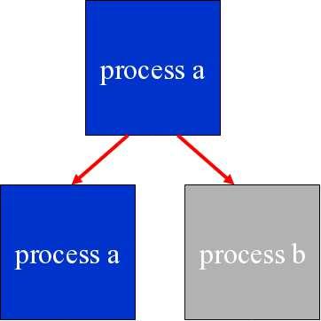 Processes in POSIX Create a process with fork parent process keeps executing old program child
