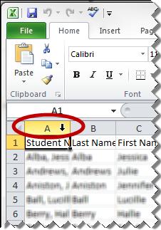 3. Locate the file you saved from Synergy. Change the search type to All Files.