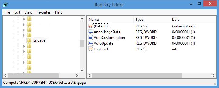 Runtime Configuration Engage runtime configuration can be configured via a json config file or the windows registry. The json config file is recommended to avoid registry permission issues.