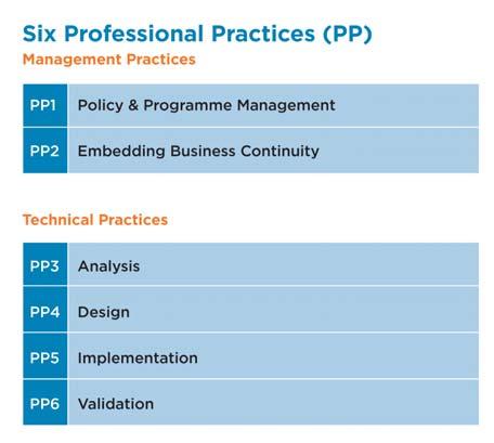The Six Professional Practices 23 The BCI s Definition of