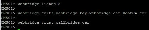 Note: The Call Bridge listen interface must not be set on an interface that is configured to use Network Address Translation (NAT) to another IP address Configure webadmin: Run the command webadmin