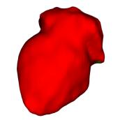 visualization of the heart (if you have VTK installed).