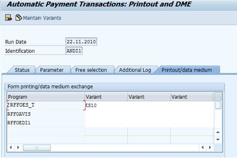 Checking the results After performing a payment run you can check the status of the Payment Transaction in transaction /f110.