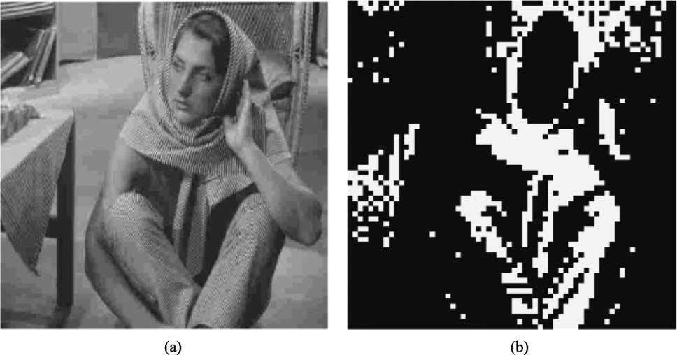 454 IEEE TRANSACTIONS ON CIRCUITS AND SYSTEMS FOR VIDEO TECHNOLOGY, VOL. 14, NO. 4, APRIL 2004 Fig. 6. (a) The BDCT compressed 512 2 512 Barbara image using Q2 (25.