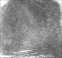 Fingerprint images Ink technique spread ink press on paper