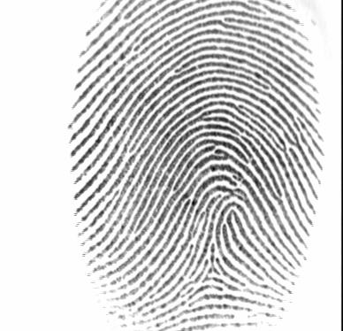 Fingerprint matching Fingerprint patterns are unique to the individual Matching Minutiae using the ridges directly is hard often
