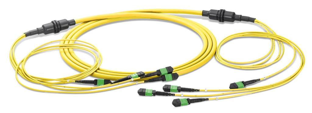 PreCONNECT OCTO PSM4 SM Breakout-Trunk OFNR Riser and OFNP Plenum rated Microunit Breakout Cables n x 8 SM fibers MTP 12 male with OCTO fiber assignment Polarity TIA method B 1 to 12 MTP leg-length =