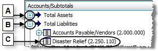 Click the Show Accounts button at the bottom of the screen to reveal the accounts among the existing subtotals.