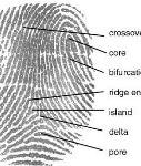 A Fuzzy Implementation of Biometrics With Five Factor Authentication System For Secured Banking NEW PROTOCOLS BROKEN PROTOCOLS BROKEN AGAIN PROTOCOLS SECURE.