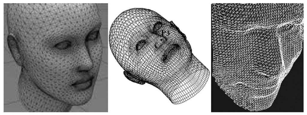 35 3D Shape Measurement for Biometry Biometric 3D mesh of a