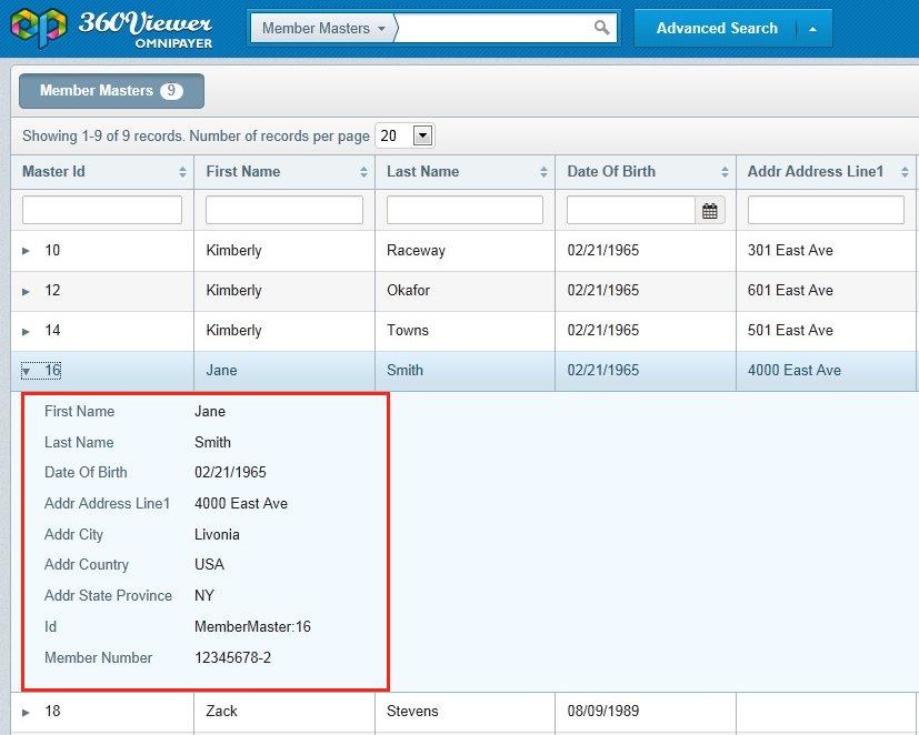 3. Available Pages in Omni-Payer 360 Viewer The Preview panel is displayed when you click anywhere on the record row.