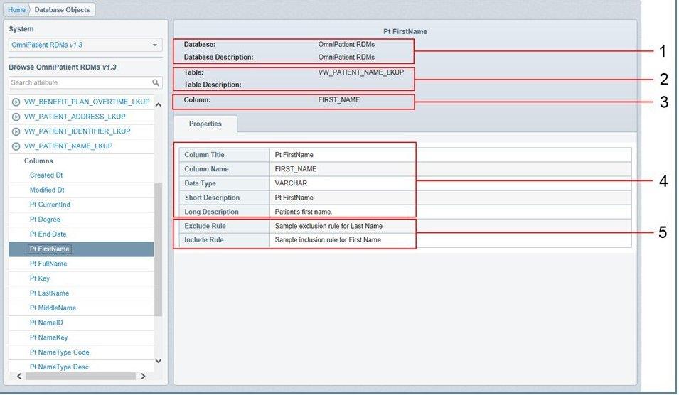 4. Using Omni-Payer Data Dictionary The following image shows the structure of the Details panel that is displayed when a database object is selected.