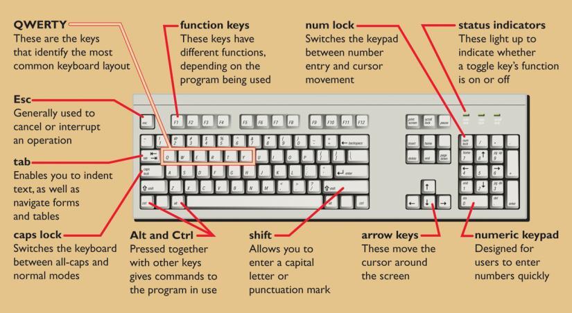 Input Devices: Giving Commands The keyboard, the most popular input