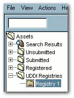 The new UDDI registry appears in the file tree in the Asset
