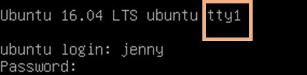 b. While on the tty1 Terminal, log back in as jenny and enter the password lasocial. Press Enter.