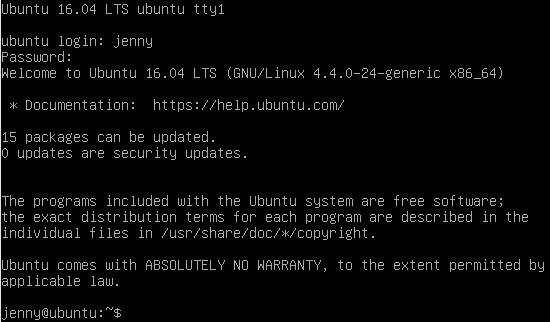 Note: If you are unable to use tty1 terminal, return to graphical user interface (GUI) of the host by using CTRL+ALT+F7 and open a terminal window in the GUI Ubuntu OS.