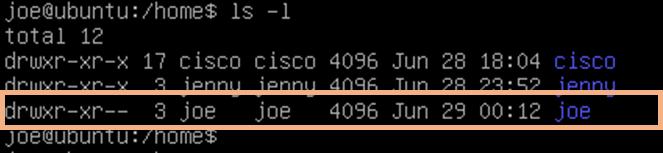 Step 3: Go back one directory level to the /home directory. joe@ubuntu:~$ cd.. Step 4: List all directories and their permissions in the current working directory.