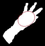 ellipse over the palm; i,l) Comparison of the circle