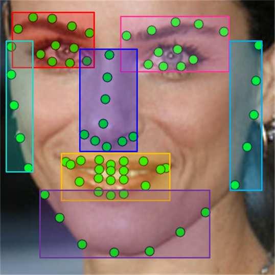 As shown in Fig. 3, different labeling patterns of 5, 29, and 68 facial landmarks are partitioned into 4, 5, and 7 clusters respectively.