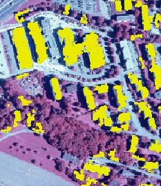 The minimum point density has been calculated for the tree masked areas as 20points/ 25m 2.
