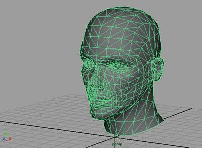 considering the fine-grain modelling perceived to be required by an evolutionary system Polygon modelling has therefore been used for the creation and evolution of the character face.