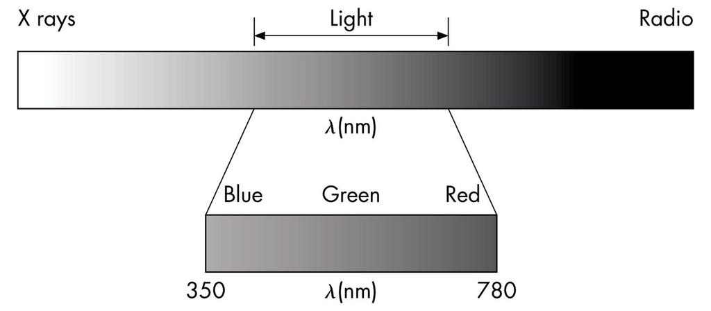 Light Light is the (visible) part of the electromagnetic spectrum that causes a reaction in our visual systems Generally these are wavelengths in the range of