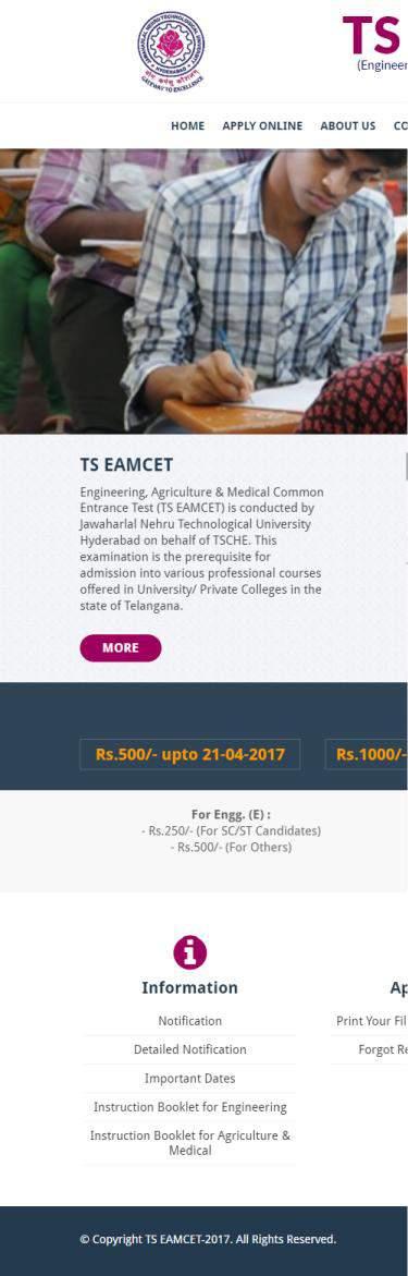 1. On your Internet Browser (preferably Internet Explorer version 6.0 and above) type the website address eamcet.tsche.ac.