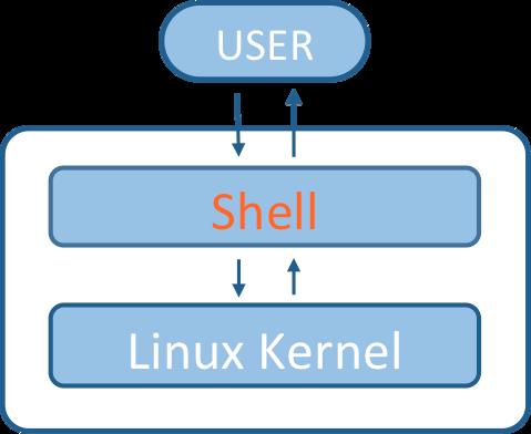 Shell (CLI shell) Command Line Interface A program which accepts