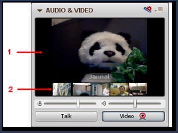 Multiple Simultaneous Cameras Sessions can be enhanced by having the video streams of multiple people displayed at once.