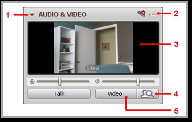 Video Broadcast The Video feature of Blackboard Collaborate Web Conferencing enables you to transmit and receive video broadcasts with others in a session.