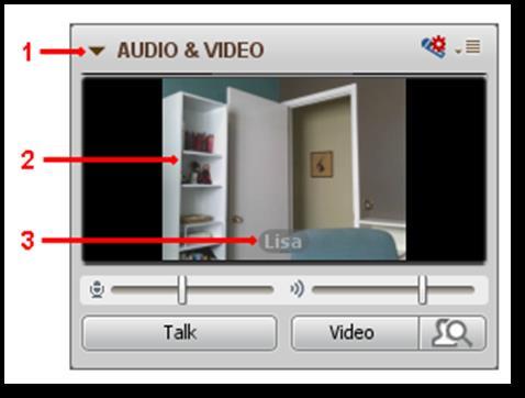 Tip: Alternatively, if you want to preview your Video, click on the Preview Video button to expand the panel. If you want to transmit Video, click on the Video button to expand the panel.